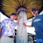 Mellow Mushroom