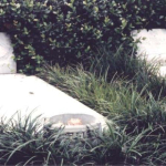 gravesites 2003