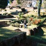 Rose Hill 3