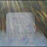 rose hill 02/07/2006