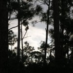 Full Moon Hike