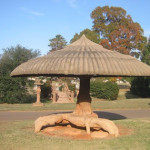 Big Mushroom