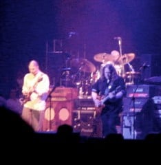 Guitars rule