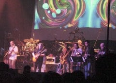 Horns play
