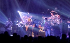 Glowing in the dark.