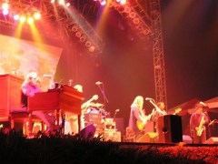 Wanee Fest