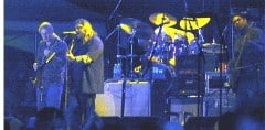 Wanee Fest