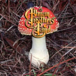 Amanita Muscaria Bro
