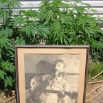 Ganja Duane