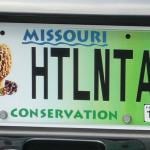 my license plate