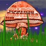 ABBshroom