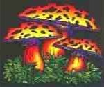MUSHROOMS