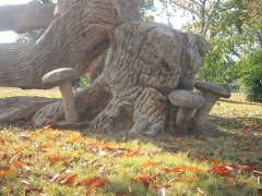 Little Mushrooms