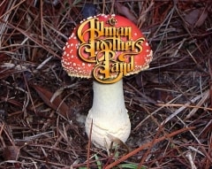 Amanita Muscaria Bro