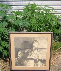 Ganja Duane