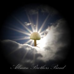 mushroom