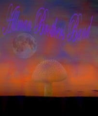 my edit