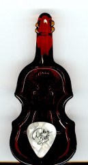 Glass Bass Guitar