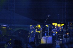 Wanee Fest