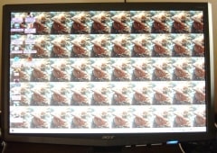 My computer screen