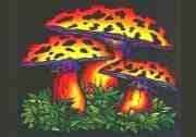 MUSHROOMS