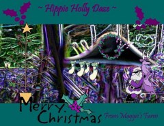 Hippie Holly Daze!