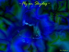 Skydog