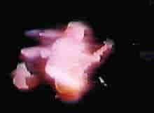 Fillmore East UNK 2