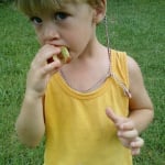 eat a peach