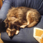 Maggie