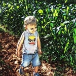 lil allman fan