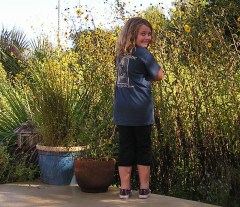 Ash ,Swamp sunflowers jamming for Duane :)