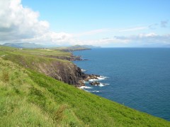 PEACHIES IN IRELAND