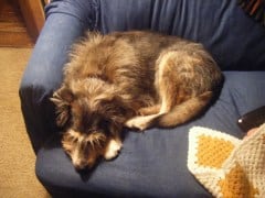 Maggie