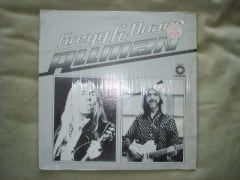 Gregg & Duane Album