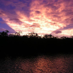 Duane's Garden sunset/Hurricane Fay