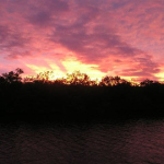 Duane's Garden sunset/Hurricane Fay