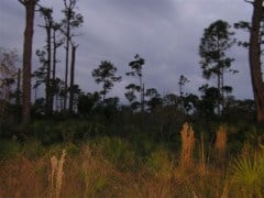 Full Moon Hike