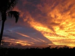 Duane's Garden sunset/Hurricane Fay