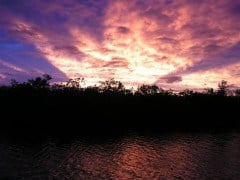 Duane's Garden sunset/Hurricane Fay