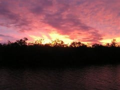 Duane's Garden sunset/Hurricane Fay