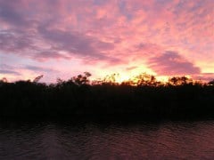 Duane's Garden sunset/Hurricane Fay