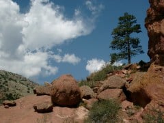Some Red Rocks