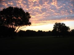 My Pics DTB Strathmore