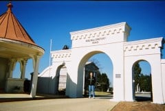 Rose Hill 1