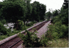 RR Tracks at Rose Hill