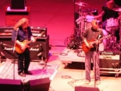 Mule/moe at the Rocks