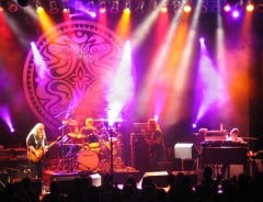 Gov't Mule