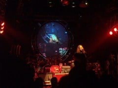 Warren Haynes solo acoustic