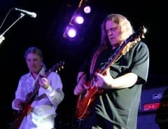 warren haynes